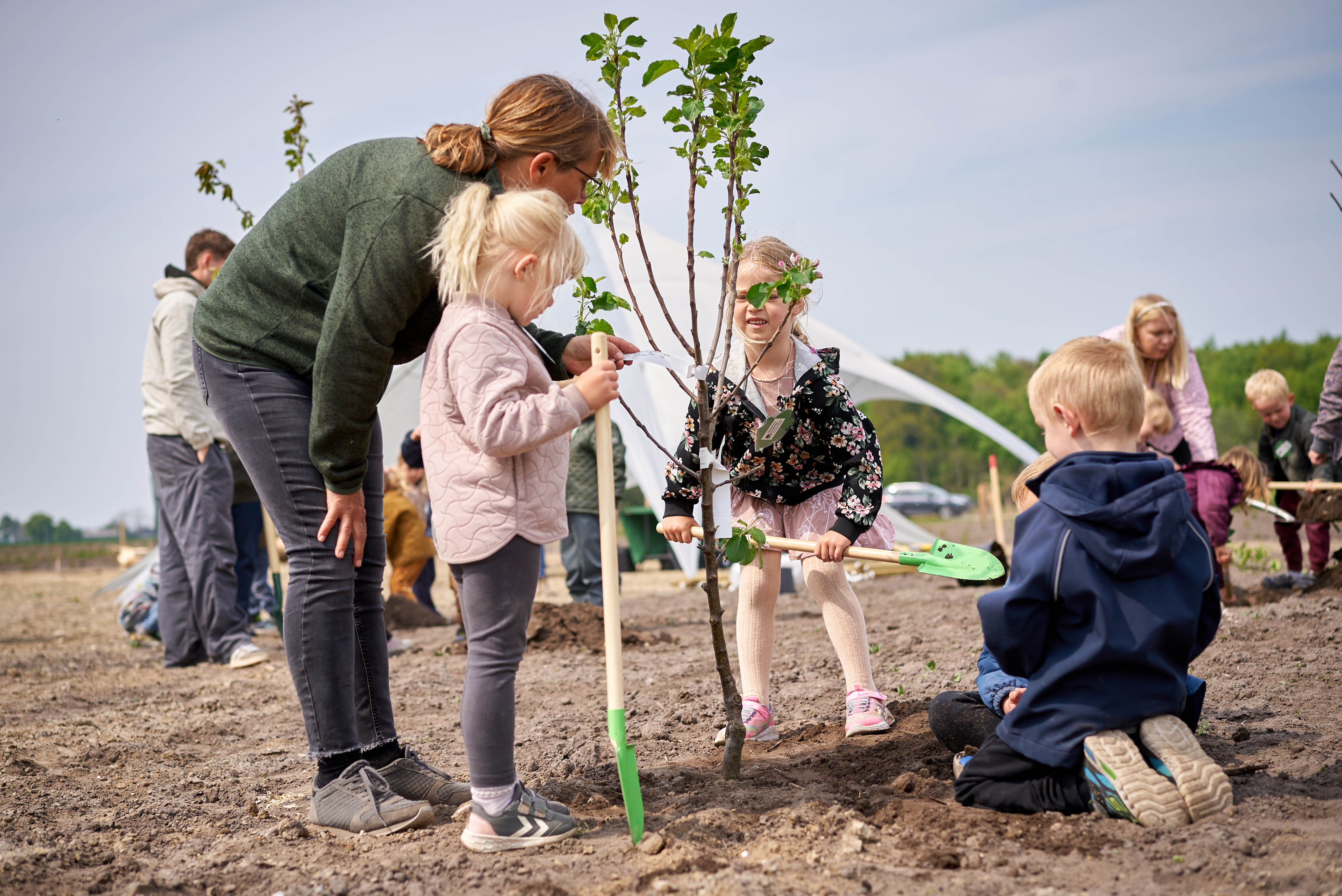 Foto af børn der planter nye træer ved plantedag. 